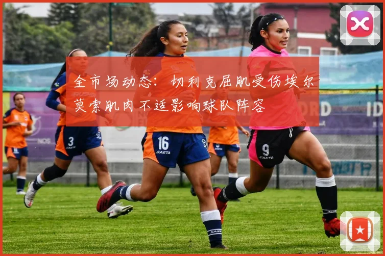 全市场动态：切利克屈肌受伤埃尔莫索肌肉不适影响球队阵容